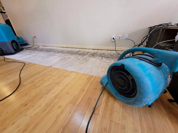 Reliable Burst Pipe Water Damage contractor in McLoud, OK by Hirex Water Damage